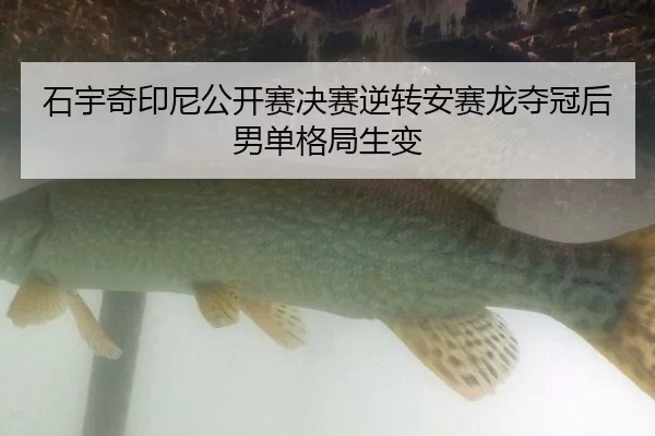 shi-yu-qi-yin-ni-gong-kai-sai-jue-sai-ni-zhuan-an-sai-long-duo-guan-hou-nan-dan-ge-ju-sheng-bian-2-220.jpg